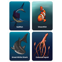 The Ocean Bundle