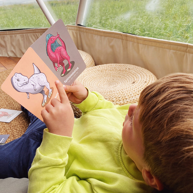 Dinosaur flashcards for learning Cretaceous, Jurassic and Mesozoic dinosaurs, pterosaurs and plesiosaurs