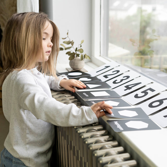 The Preschool Starter Flashcard Bundle - image 2