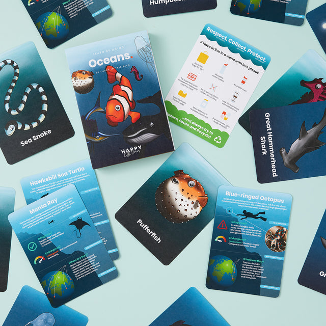 Educational Flashcards & Games for Kids