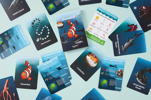 Learn about the Oceans Activity Flashcards