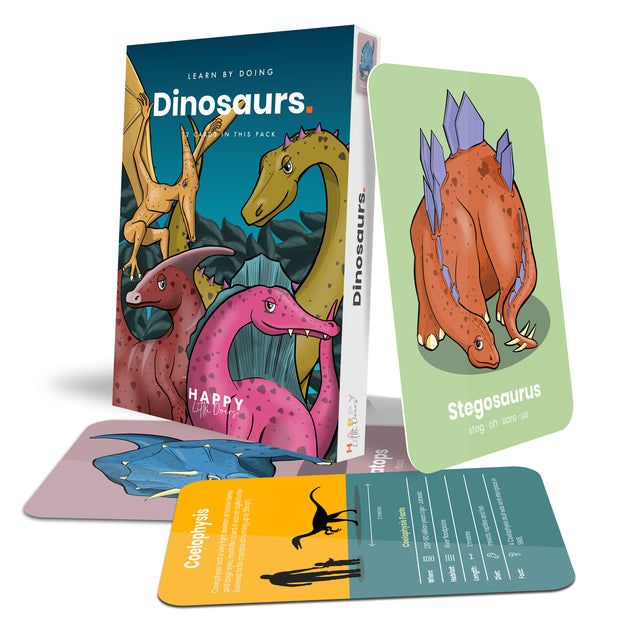 Animal Flashcards