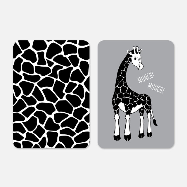 Sensory Flashcards for Babies