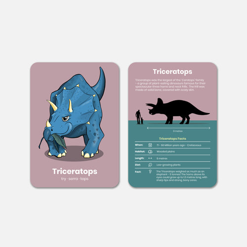 Dinosaur Activity Flashcards - image 2