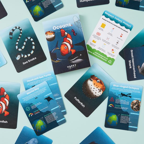 Learn about the Oceans Activity Flashcards