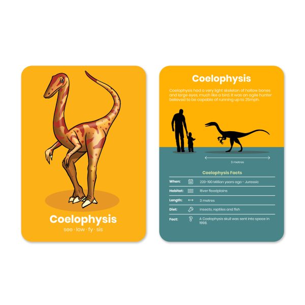 Coelophysis Dinosaur Flashcard